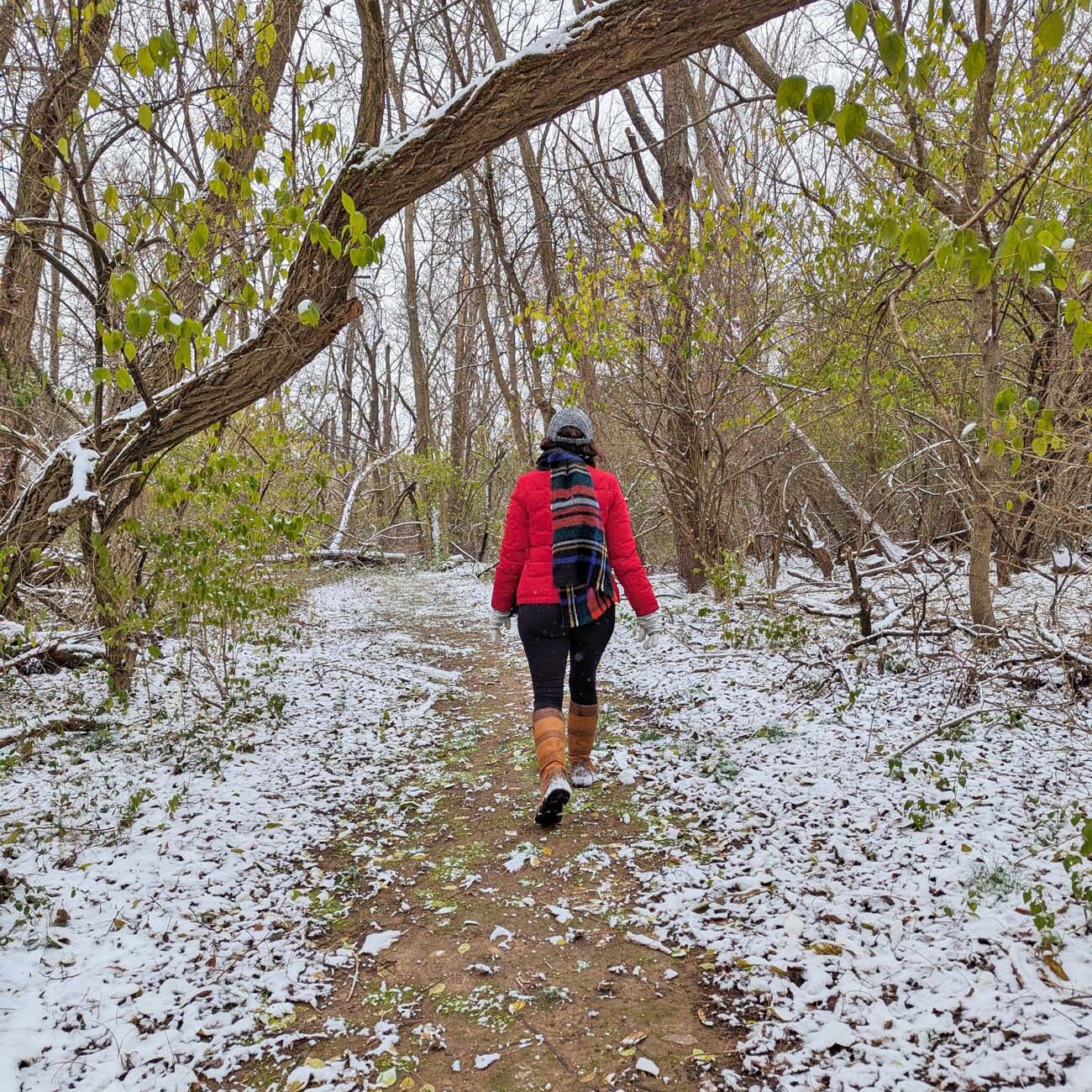 Woman in red puffy jacket and plaid scarf walking on snow-dusted woodland trail at Brampton 1860, bare winter trees with remaining green leaves arching overhead, snow covering ground and fallen leaves, peaceful winter hiking scene