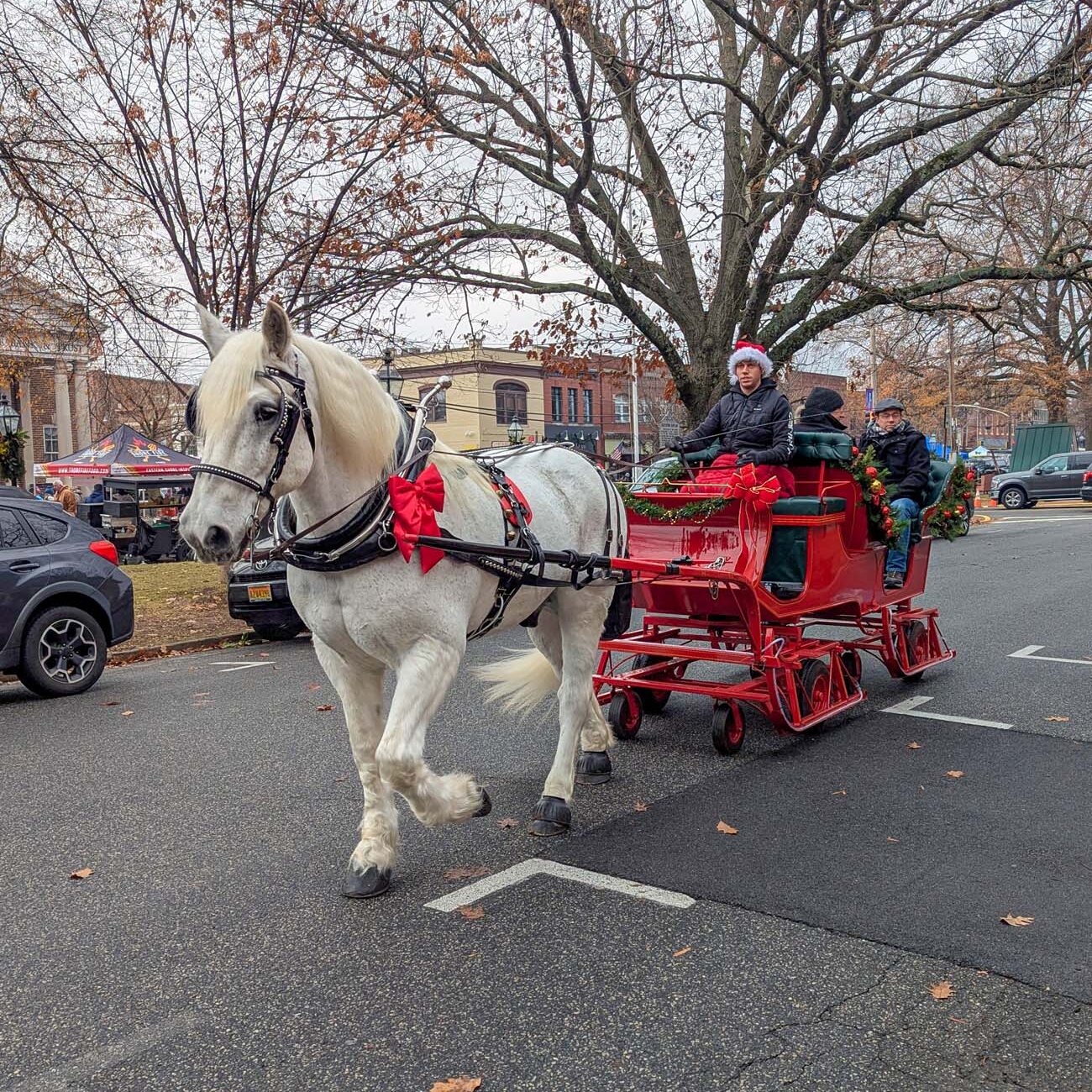 White draft horse pulling red holiday carriage with passengers through downtown Chestertown during Dickens festival, horse decorated with evergreen garland and red bow, bare winter trees and historic storefronts lining Main Street