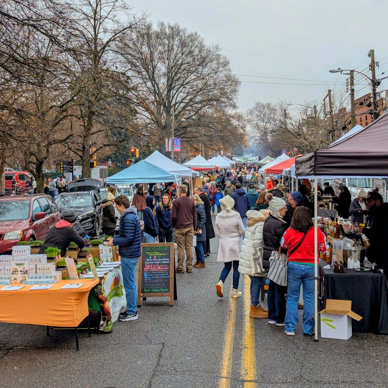 Chestertown Farmers Market on High Street filled with shoppers browsing vendor tents, bare winter trees overhead, colorful pop-up canopies lining closed street, crowds of people shopping local goods, community gathering atmosphere