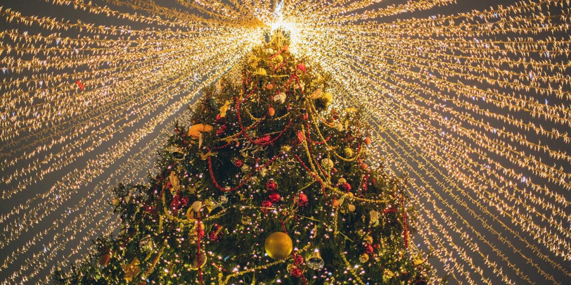 A Christmas tree and string lights offering Christmas Light Experiences Near Wilmington, Delaware