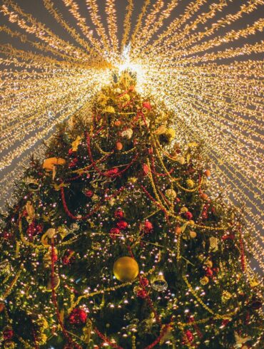 A Christmas tree and string lights offering Christmas Light Experiences Near Wilmington, Delaware