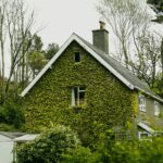 a quaint holiday let rental home in the uk covered in ivy