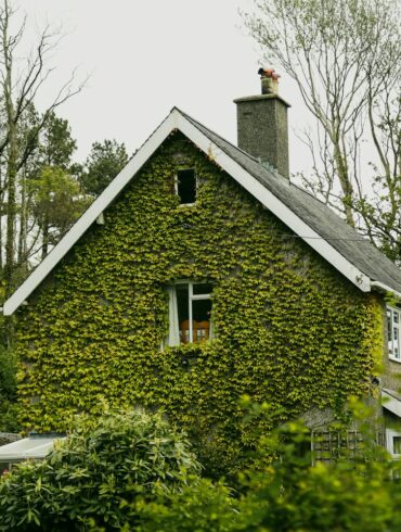 a quaint holiday let rental home in the uk covered in ivy
