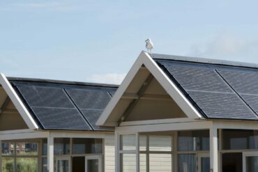 vacation homes rooftops with solar panels against a clear noon sky. a seagull is perched on top of the home.