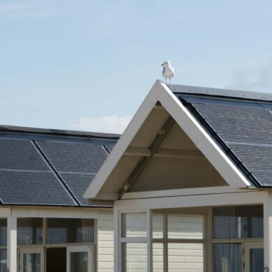 vacation homes rooftops with solar panels against a clear noon sky. a seagull is perched on top of the home.