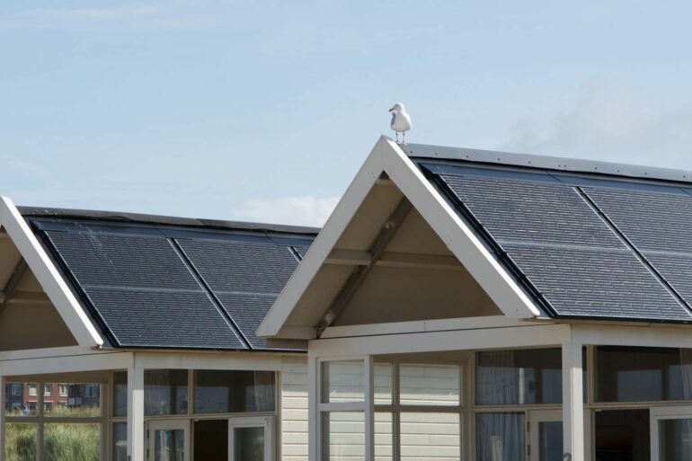 vacation homes rooftops with solar panels against a clear noon sky. a seagull is perched on top of the home.