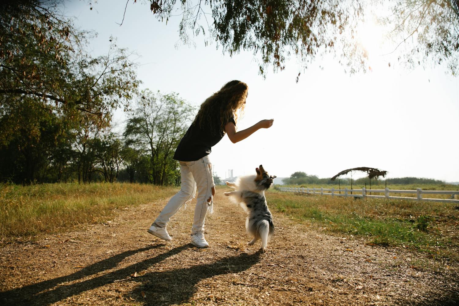 a woman in an outdoor park setting playing with her small dog, increasing NEAT while having fun.