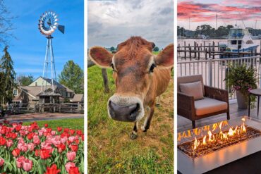Three panel collage showing slow travel destinations on the East Coast: left panel features a historic windmill with colorful tulips at Peddlers Village, center panel shows a friendly brown Jersey cow in pastoral Amish farmland, right panel displays a cozy waterfront fire pit at sunset with boats docked at an Eastern Shore marina