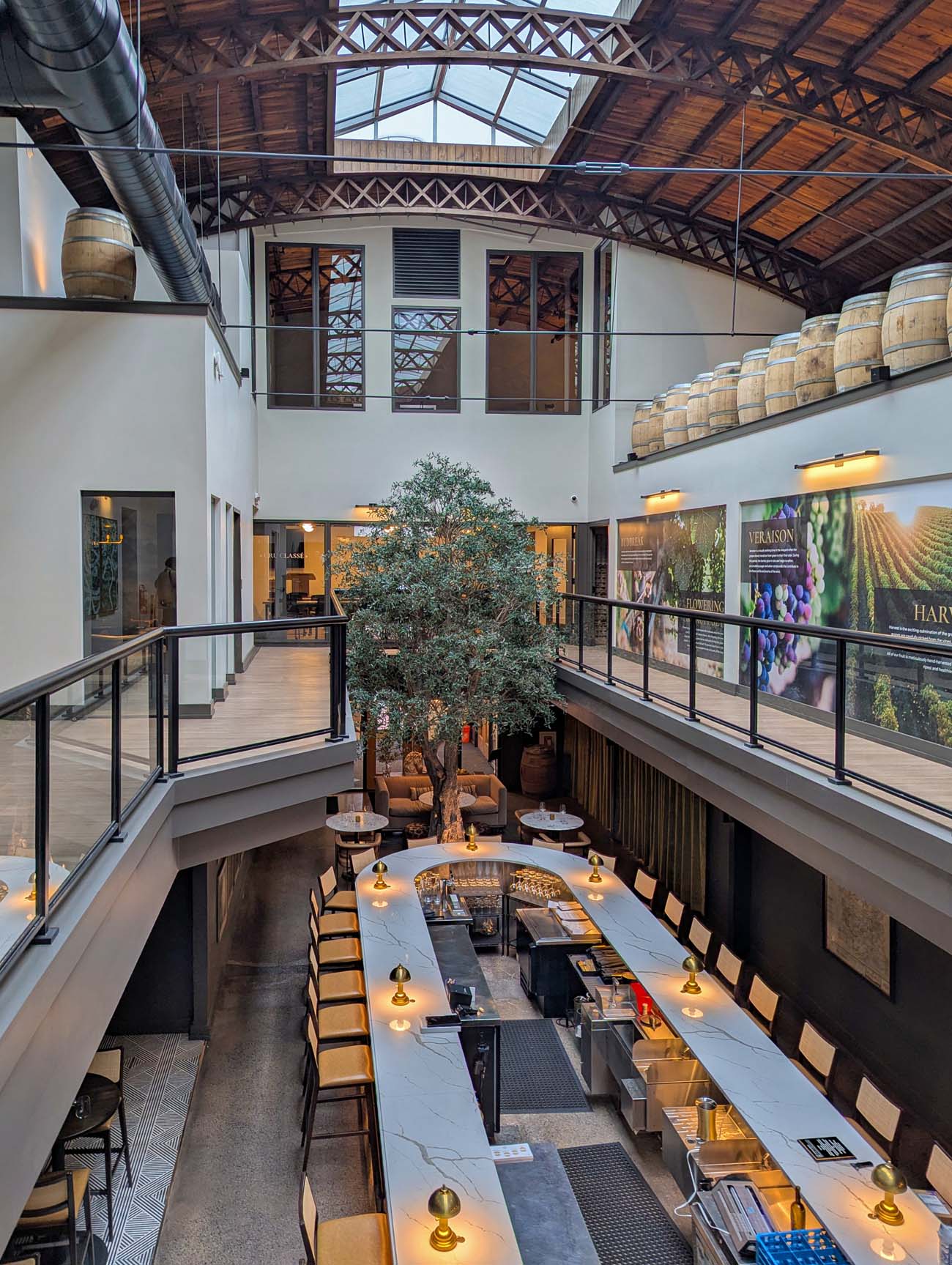 An overhead view of the Turks Head Wines tasting room interior, showing a long white marble bar with brass lamps and bar stools on the ground level, a life-sized indoor tree at the center of the space, lounge seating beyond it, and an upper balcony with glass railings lined with oak wine barrels and large photo murals of vineyard scenes. Exposed timber trusses and a glass skylight ceiling fill the soaring industrial space with natural light.