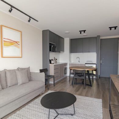 Interior Design of Living Room and Kitchen