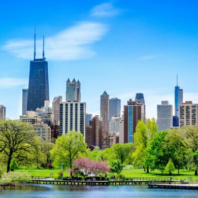 Chicago, IL, United States in springtime. Green Trees Near the Water in a sunny cityscape