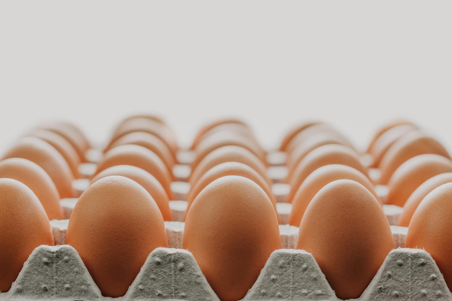 Do Eggs Need to Be Refrigerated? American Yes, European No