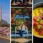 Three-panel feature image showing left: the Washington Monument rising above pink cherry blossoms along the Tidal Basin in Washington DC at peak bloom; center: a woman sitting on a white bench in front of the Hotel Washington lobby floral wall installation with neon Hotel Washington sign surrounded by pink and orange flowers; right: Yellowfin Tuna Crudo in a vivid yellow sauce topped with jalapeño and cherry pepper slices at VUE Rooftop