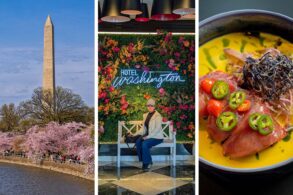 Three-panel feature image showing left: the Washington Monument rising above pink cherry blossoms along the Tidal Basin in Washington DC at peak bloom; center: a woman sitting on a white bench in front of the Hotel Washington lobby floral wall installation with neon Hotel Washington sign surrounded by pink and orange flowers; right: Yellowfin Tuna Crudo in a vivid yellow sauce topped with jalapeƱo and cherry pepper slices at VUE Rooftop