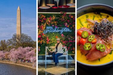 Three-panel feature image showing left: the Washington Monument rising above pink cherry blossoms along the Tidal Basin in Washington DC at peak bloom; center: a woman sitting on a white bench in front of the Hotel Washington lobby floral wall installation with neon Hotel Washington sign surrounded by pink and orange flowers; right: Yellowfin Tuna Crudo in a vivid yellow sauce topped with jalapeño and cherry pepper slices at VUE Rooftop