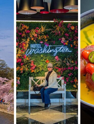 Three-panel feature image showing left: the Washington Monument rising above pink cherry blossoms along the Tidal Basin in Washington DC at peak bloom; center: a woman sitting on a white bench in front of the Hotel Washington lobby floral wall installation with neon Hotel Washington sign surrounded by pink and orange flowers; right: Yellowfin Tuna Crudo in a vivid yellow sauce topped with jalapeño and cherry pepper slices at VUE Rooftop