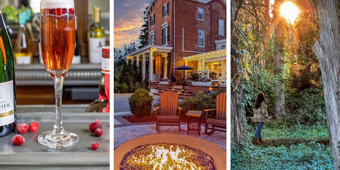 A triptych feature image for Brampton 1860 spring: on the left, a sparkling cranberry Poinsettia cocktail in a tall champagne flute with fresh cranberries scattered on a metal bar surface beside a Champagne Pannier bottle; in the center, the Brampton 1860 firepit burning at dusk with Adirondack chairs and the illuminated red brick historic manor house glowing against a dramatic orange and purple sunset sky; on the right, a woman in a plaid jacket standing between two large ancient cedar trees on the Brampton woodland trail, facing a burst of golden sunset light breaking through the canopy overhead with ivy and clover covering the forest floor below