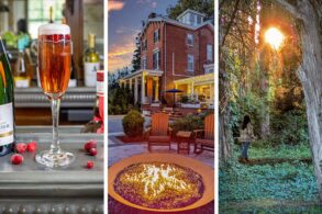 A triptych feature image for Brampton 1860 spring: on the left, a sparkling cranberry Poinsettia cocktail in a tall champagne flute with fresh cranberries scattered on a metal bar surface beside a Champagne Pannier bottle; in the center, the Brampton 1860 firepit burning at dusk with Adirondack chairs and the illuminated red brick historic manor house glowing against a dramatic orange and purple sunset sky; on the right, a woman in a plaid jacket standing between two large ancient cedar trees on the Brampton woodland trail, facing a burst of golden sunset light breaking through the canopy overhead with ivy and clover covering the forest floor below