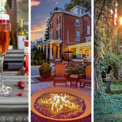 A triptych feature image for Brampton 1860 spring: on the left, a sparkling cranberry Poinsettia cocktail in a tall champagne flute with fresh cranberries scattered on a metal bar surface beside a Champagne Pannier bottle; in the center, the Brampton 1860 firepit burning at dusk with Adirondack chairs and the illuminated red brick historic manor house glowing against a dramatic orange and purple sunset sky; on the right, a woman in a plaid jacket standing between two large ancient cedar trees on the Brampton woodland trail, facing a burst of golden sunset light breaking through the canopy overhead with ivy and clover covering the forest floor below