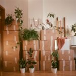 moving boxes stacked in a living room and ready to move