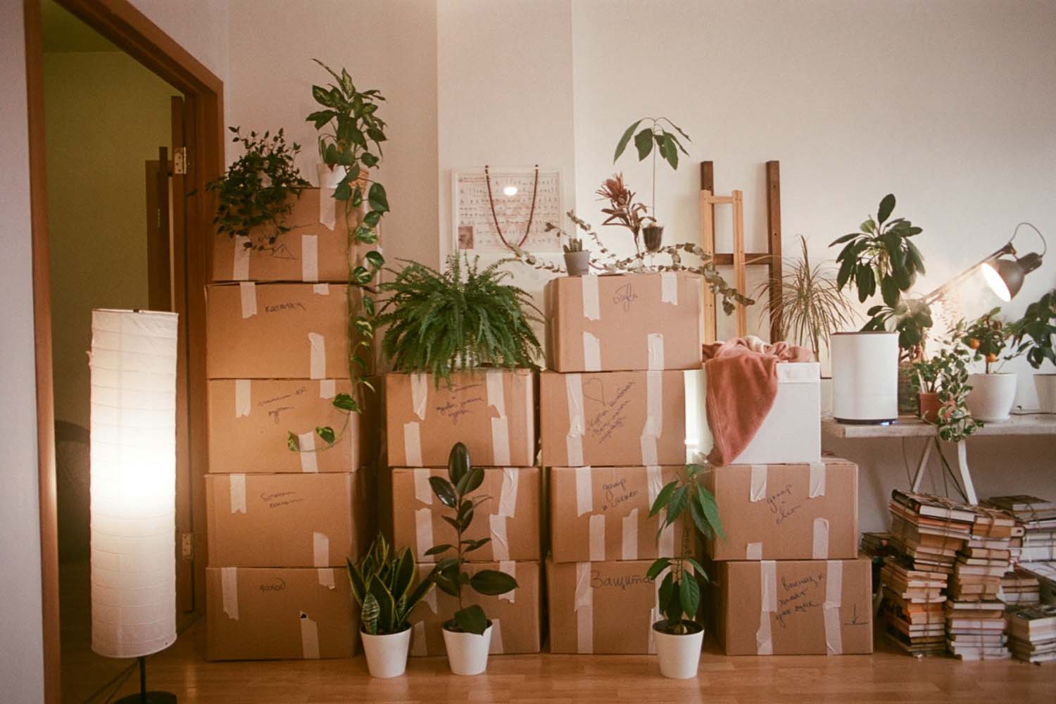How to Choose the Best Residential Moving Company