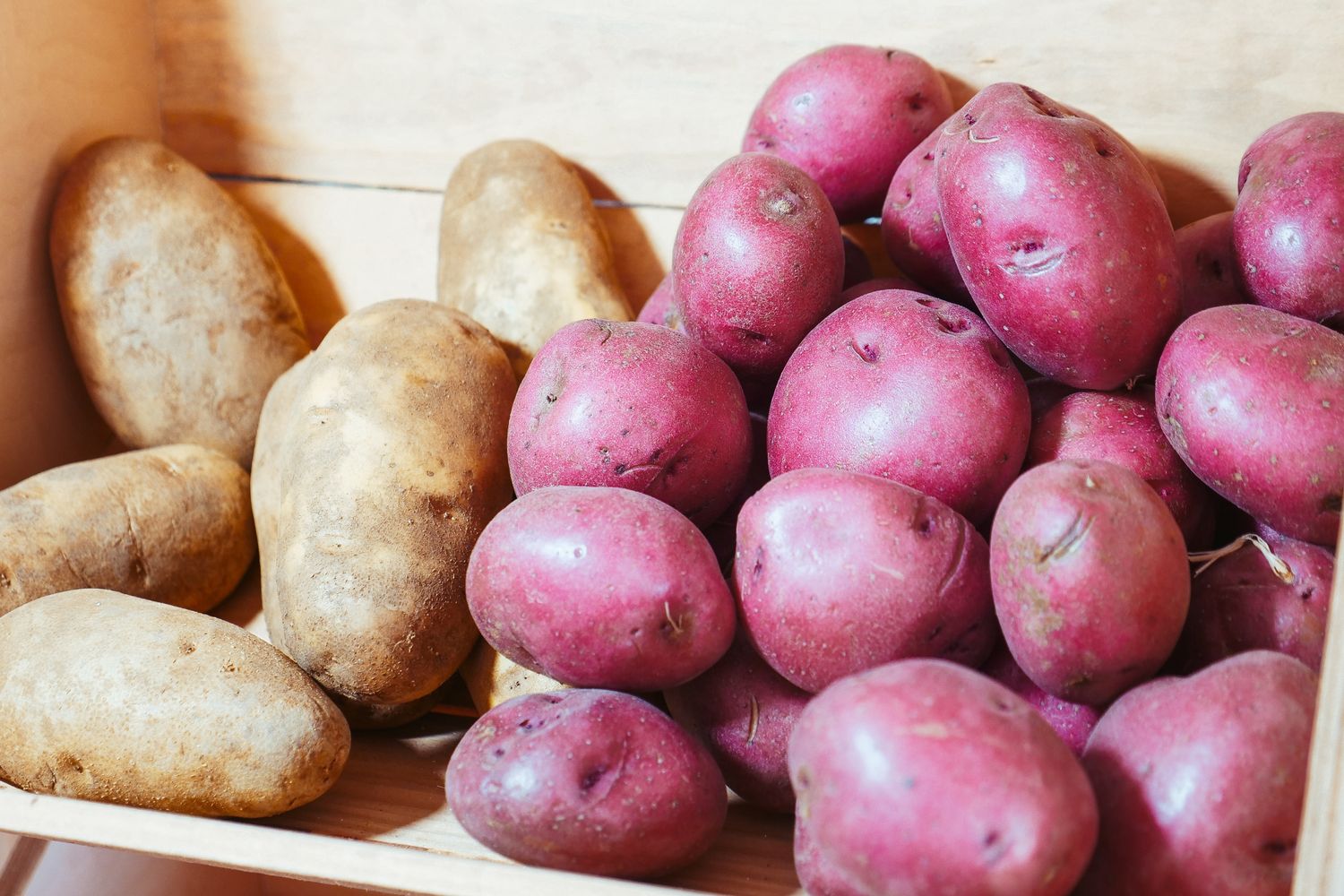 Do Potatoes Go Bad? Everything You Need To Know