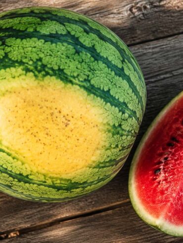 Whole watermelon with a large golden-yellow field spot beside a freshly cut wedge showing deep red flesh and black seeds on a rustic wooden picnic table in natural summer daylight.