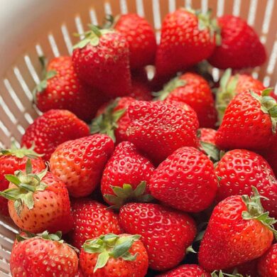 A vibrant collection of fresh strawberries in a white colander,