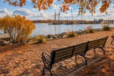 Historic Chestertown Waterfront. Autumn waterfront scene with a wooden bench overlooking a marina, calm water, sailboats, and colorful fall foliage beneath a bright blue sky.