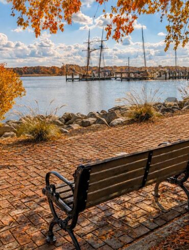 Historic Chestertown Waterfront. Autumn waterfront scene with a wooden bench overlooking a marina, calm water, sailboats, and colorful fall foliage beneath a bright blue sky.