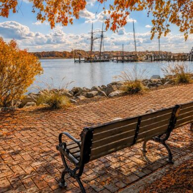 Historic Chestertown Waterfront. Autumn waterfront scene with a wooden bench overlooking a marina, calm water, sailboats, and colorful fall foliage beneath a bright blue sky.