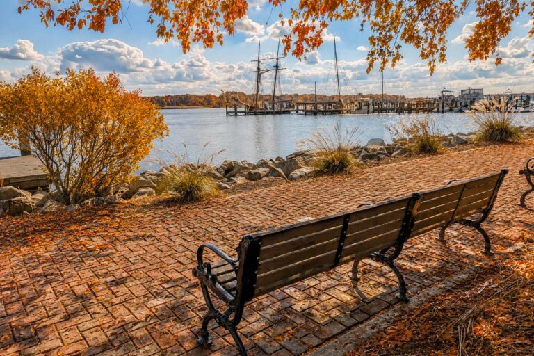 Historic Chestertown Waterfront. Autumn waterfront scene with a wooden bench overlooking a marina, calm water, sailboats, and colorful fall foliage beneath a bright blue sky.