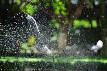 a home sprinkler spraying water on a summer day across a residential lush green lawn.