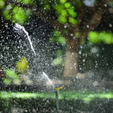 a home sprinkler spraying water on a summer day across a residential lush green lawn.