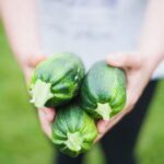 Close-up of hands holding fresh zucchinis outdoors, highlighting healthy vegetables