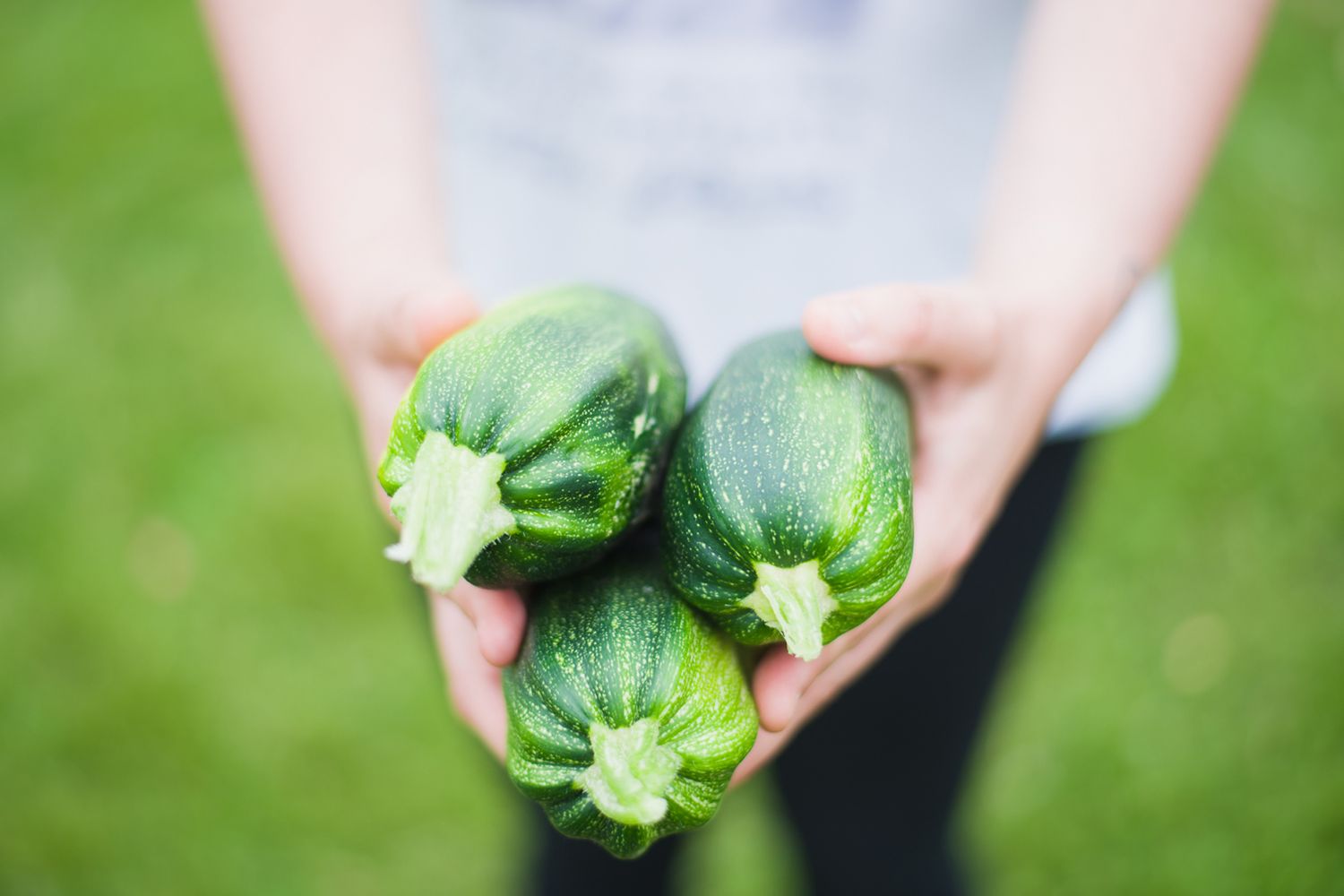 What to Do With Too Many Zucchini: 10 Ways to Use It Up
