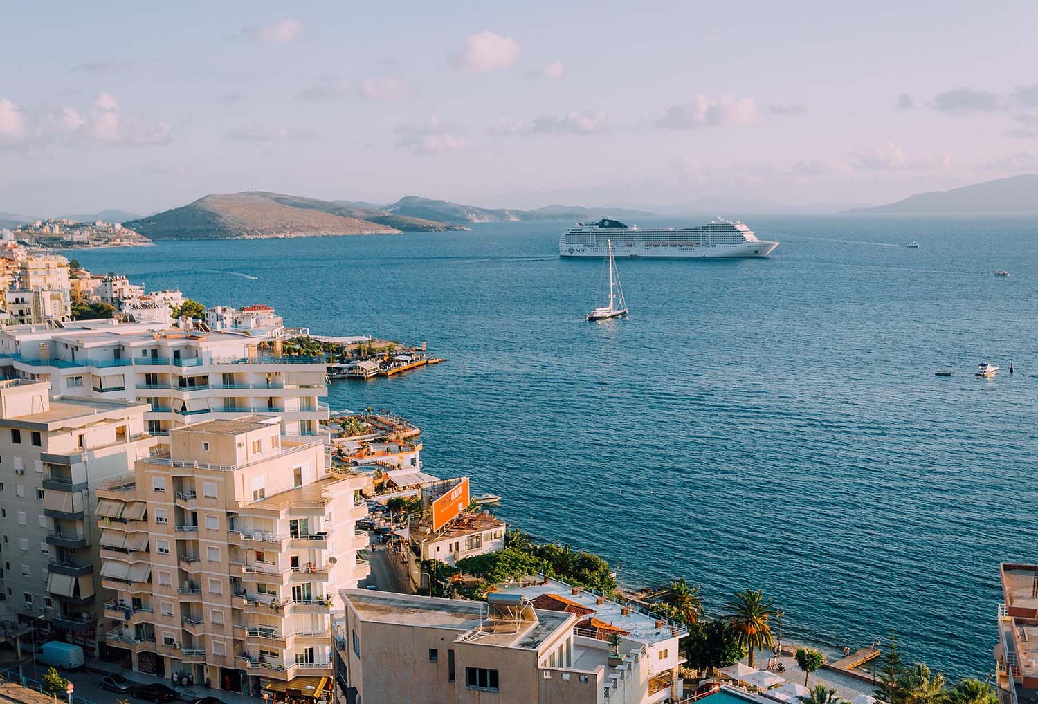 The Top 5 Wildlife Cruises for Animal Lovers