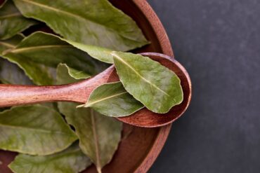A detailed close-up of fresh bay leaves resting on a wooden spoon, emphasizing natural textures.