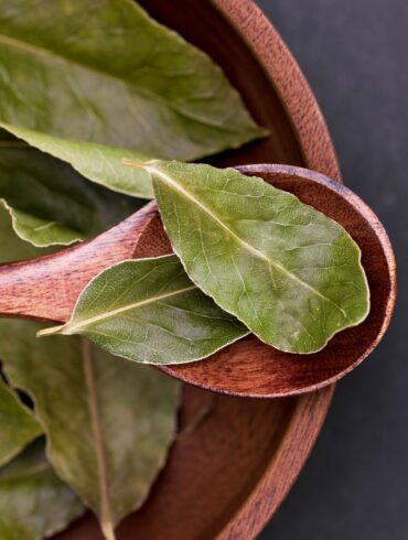 A detailed close-up of fresh bay leaves resting on a wooden spoon, emphasizing natural textures.