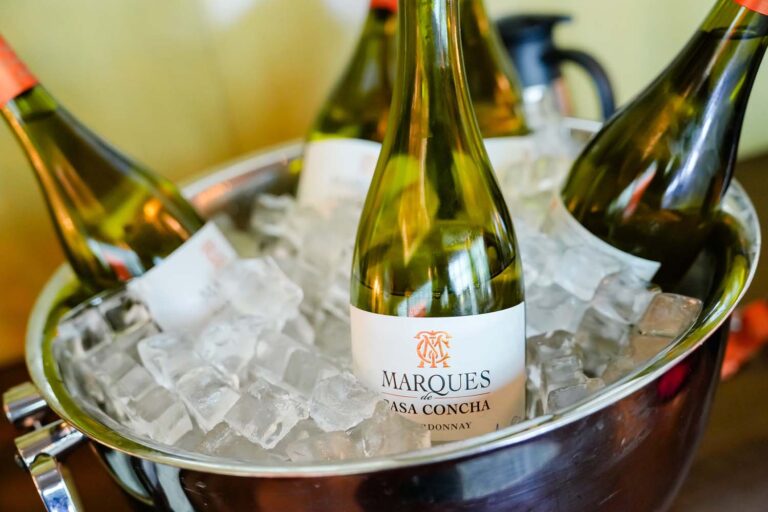 Close-up of wine bottles resting in an ice bucket, chilled for celebration.