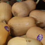 a box of butternut squash on sale in a grocery store