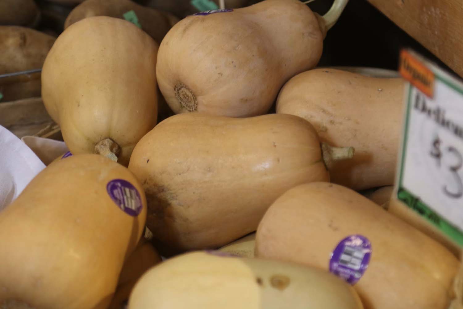 How to Pick a Good Butternut Squash (and Keep It Fresh)