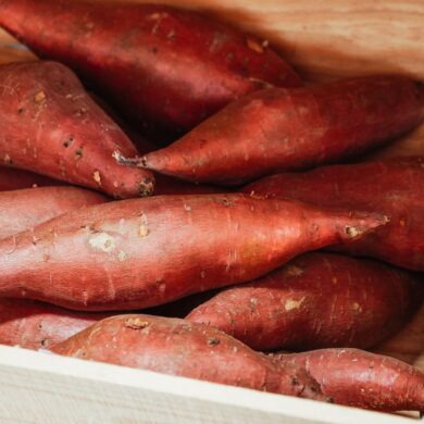 A store crate of fresh, uncooked sweet potatoes ready to be chosen