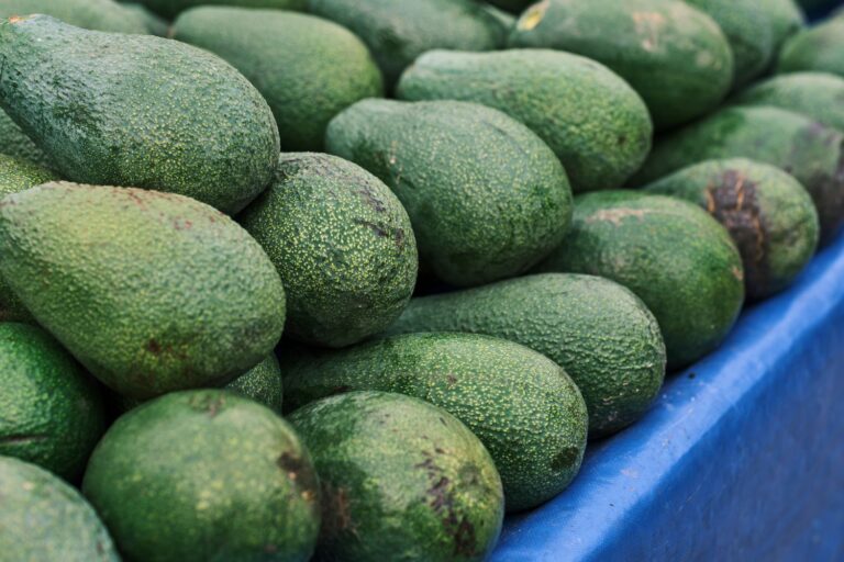 Abundant fresh green avocados arranged on a blue counter at a local market.
