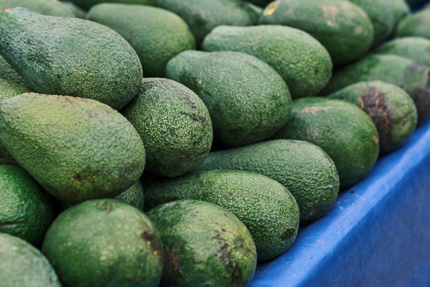 How to Pick a Ripe Avocado (And Avoid a Bad One)