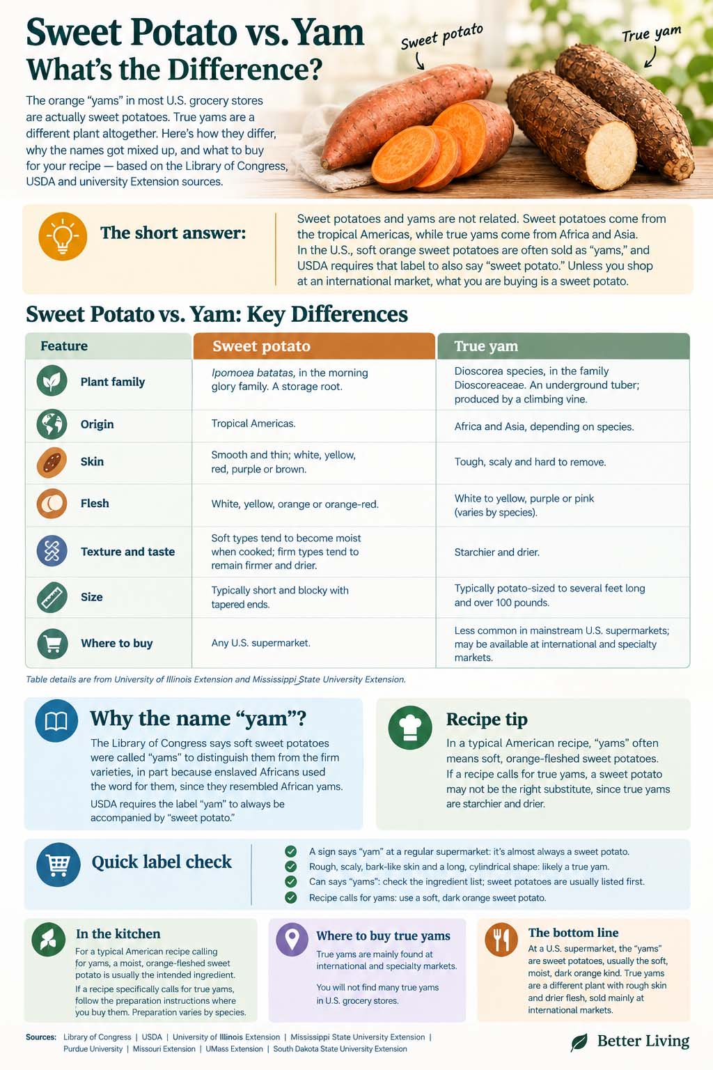 Sweet Potato vs. True Yam Infographic outlining each detail of the blog post 